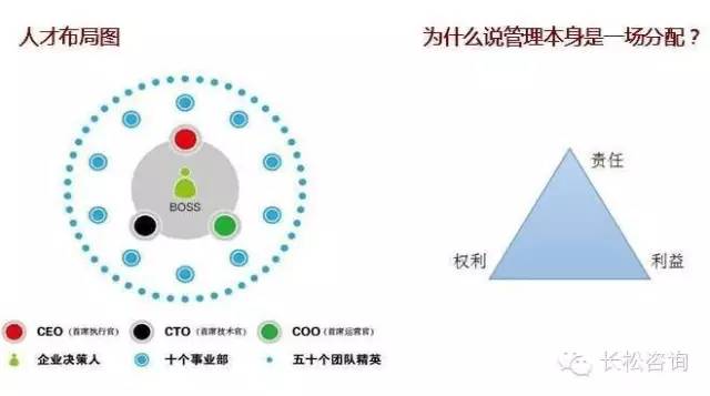 今世缘最新招募策略，构建人才磁场，引领企业创新之路