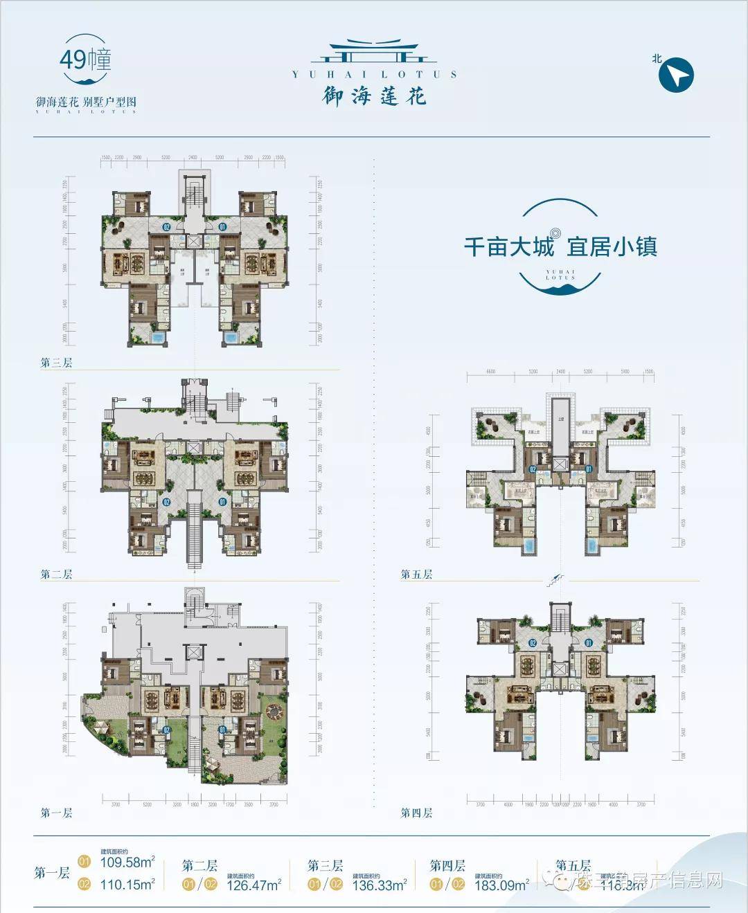 探索肥肉奥秘，最新章节揭示的惊人真相