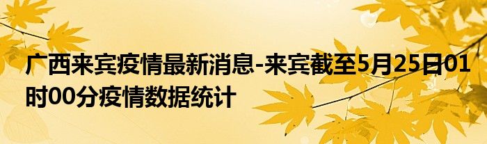 来宾市最新疫情动态报告