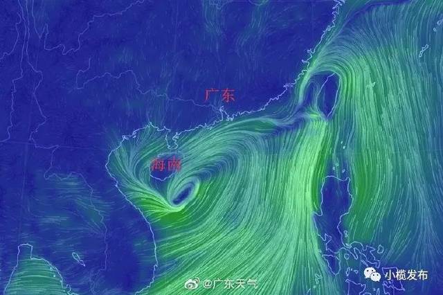 广州台风最新情报，台风动态与应对措施