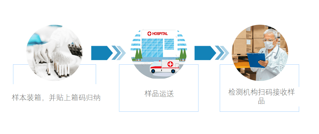 最新核酸检测视频技术及其应用