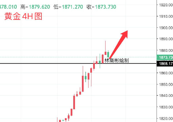 最新欧诺报价，深度解析市场趋势与购车建议