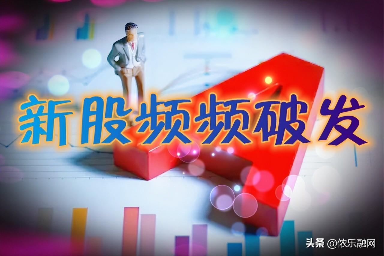 新股最新中签结果公布及分析