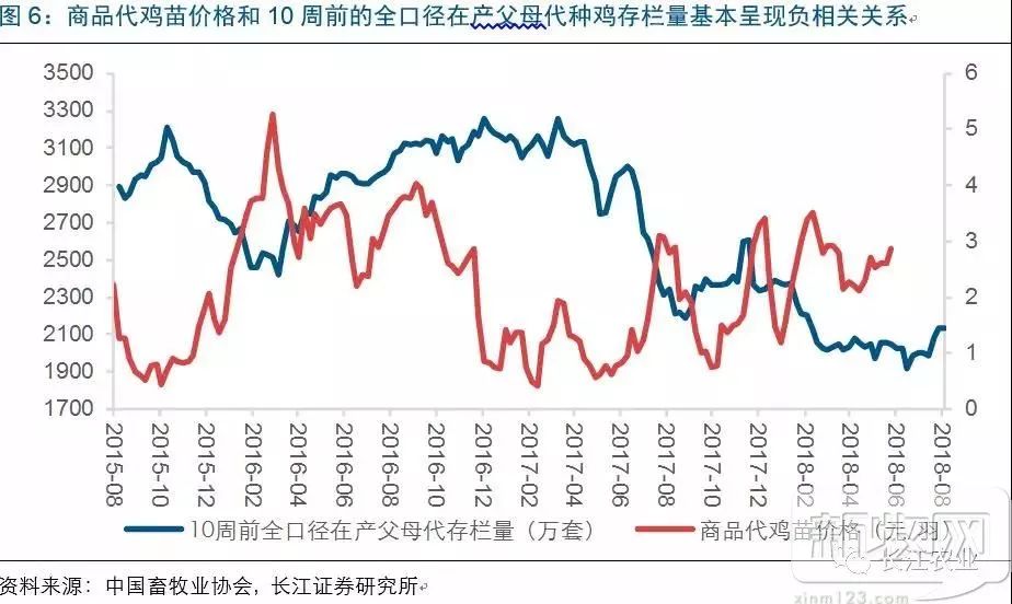 肉种鸡最新价格动态分析