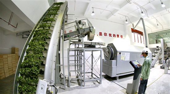 最新茶叶机械，重塑茶叶产业的科技力量