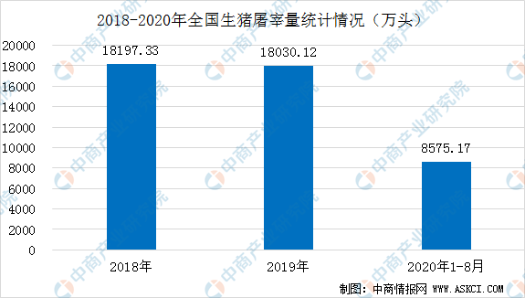 最新生猪价格报告，市场趋势分析与预测